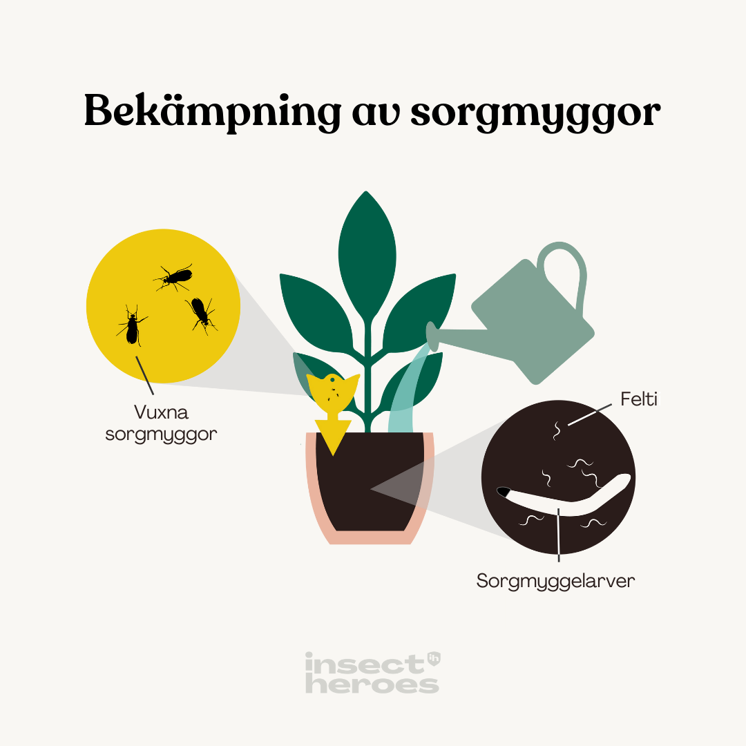 Sticky Leaf Gul Mini – mot sorgmyggor