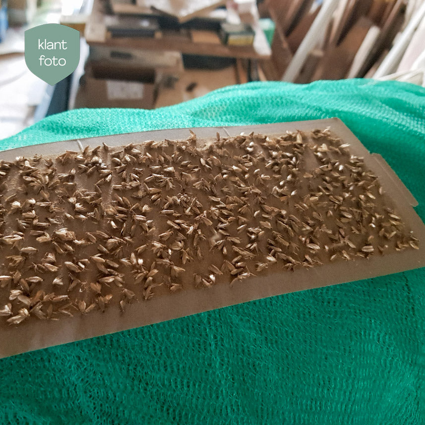 Delta Trap och lockämne – mot klädesmal