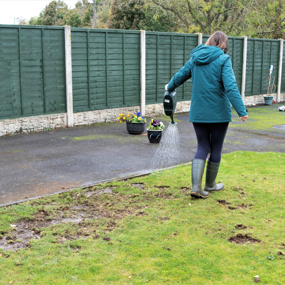 Gräsdeal – mot ollonborrar och harkrankslarver