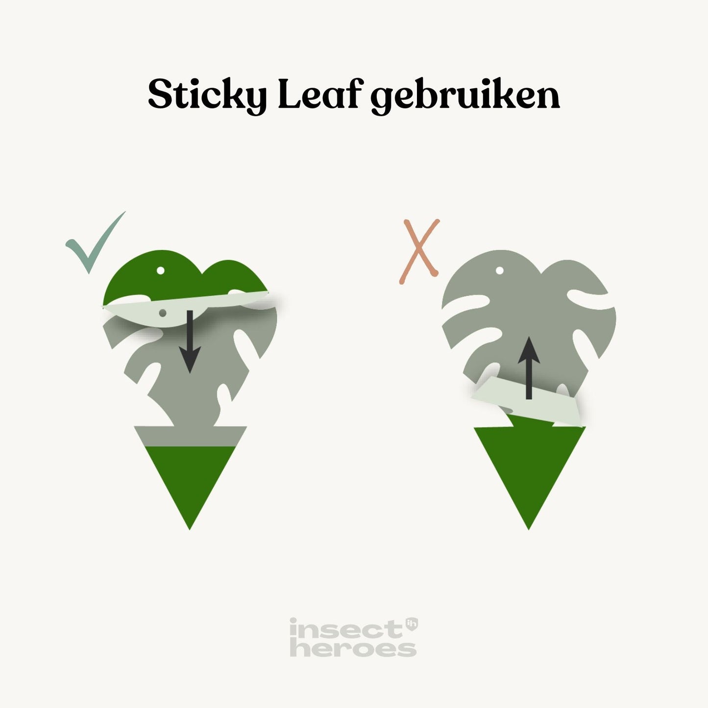 Combi Deal – mot sorgmyggor