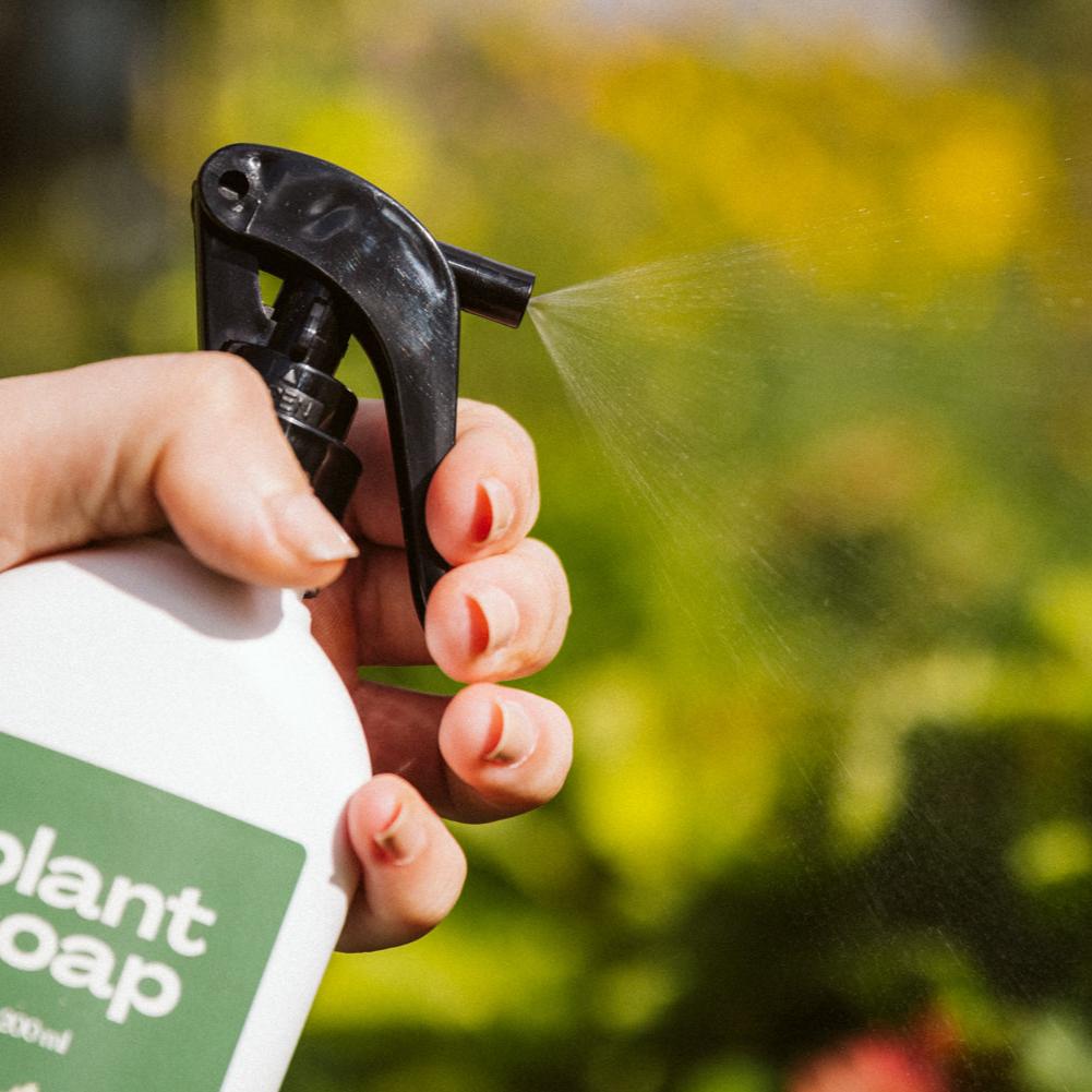 Plant Soap