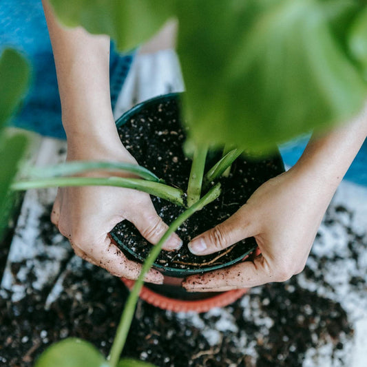 Vilken krukjord är mest hållbar?