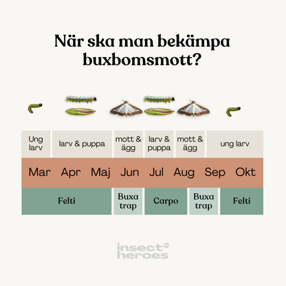 Buxa Trap - fälla och lockämne mot buxbomsmott
