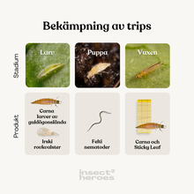 Combi Deal – mot trips