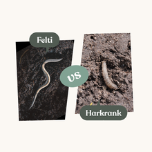 Felti – mot harkrankslarver