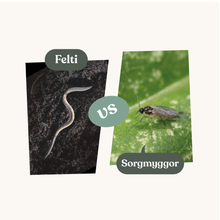 Felti – mot sorgmyggor