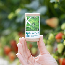 Aphiscout - mot bladlöss