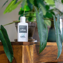 Vita för krukväxter