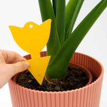 Sticky Leaf Gul Mini – mot sorgmyggor