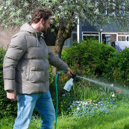 Felti – mot öronvivlar