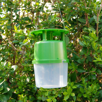 Buxa Trap - fälla och lockämne mot buxbomsmott