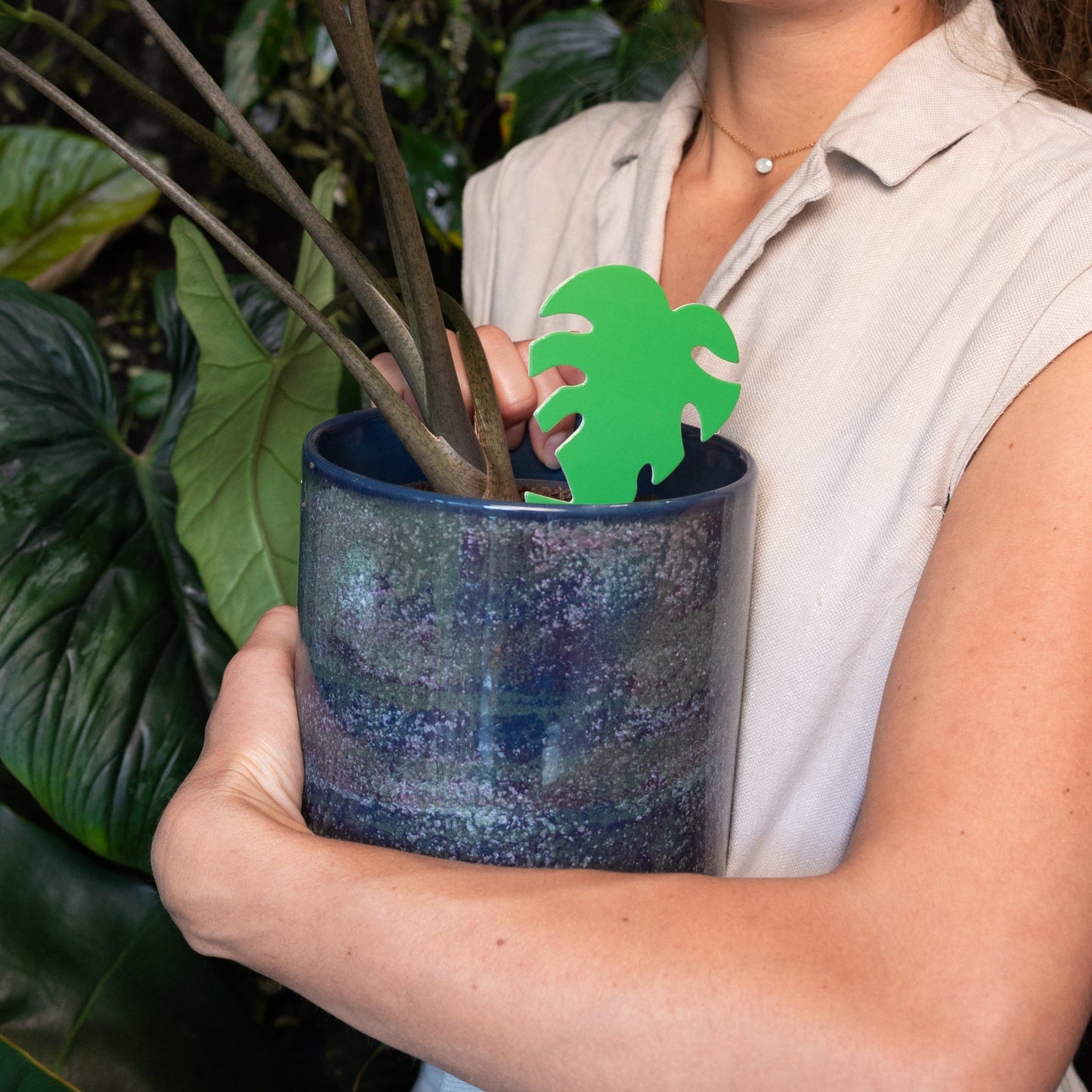 Sticky Leaf Grön Mini – mot sorgmyggor