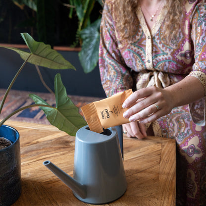 Felti – mot sorgmyggor