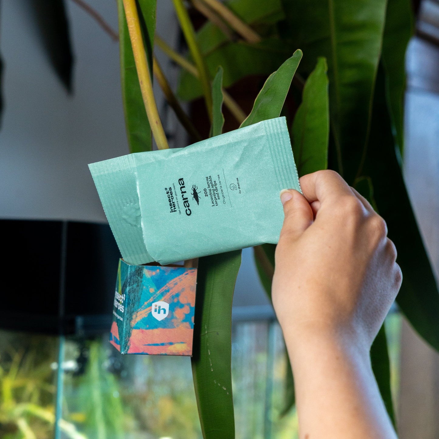 Jungle Deal – mot trips