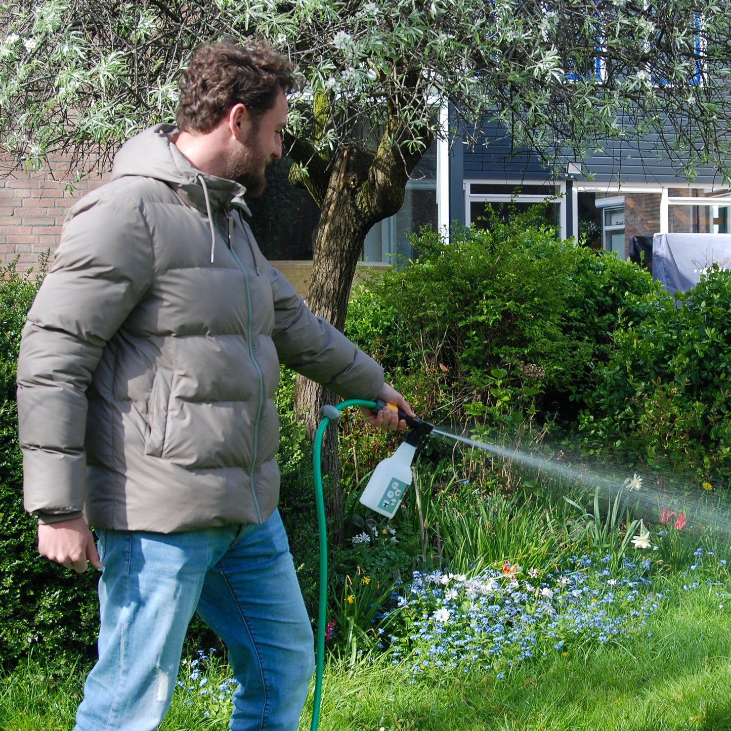 Phora – mot skalbaggelarver