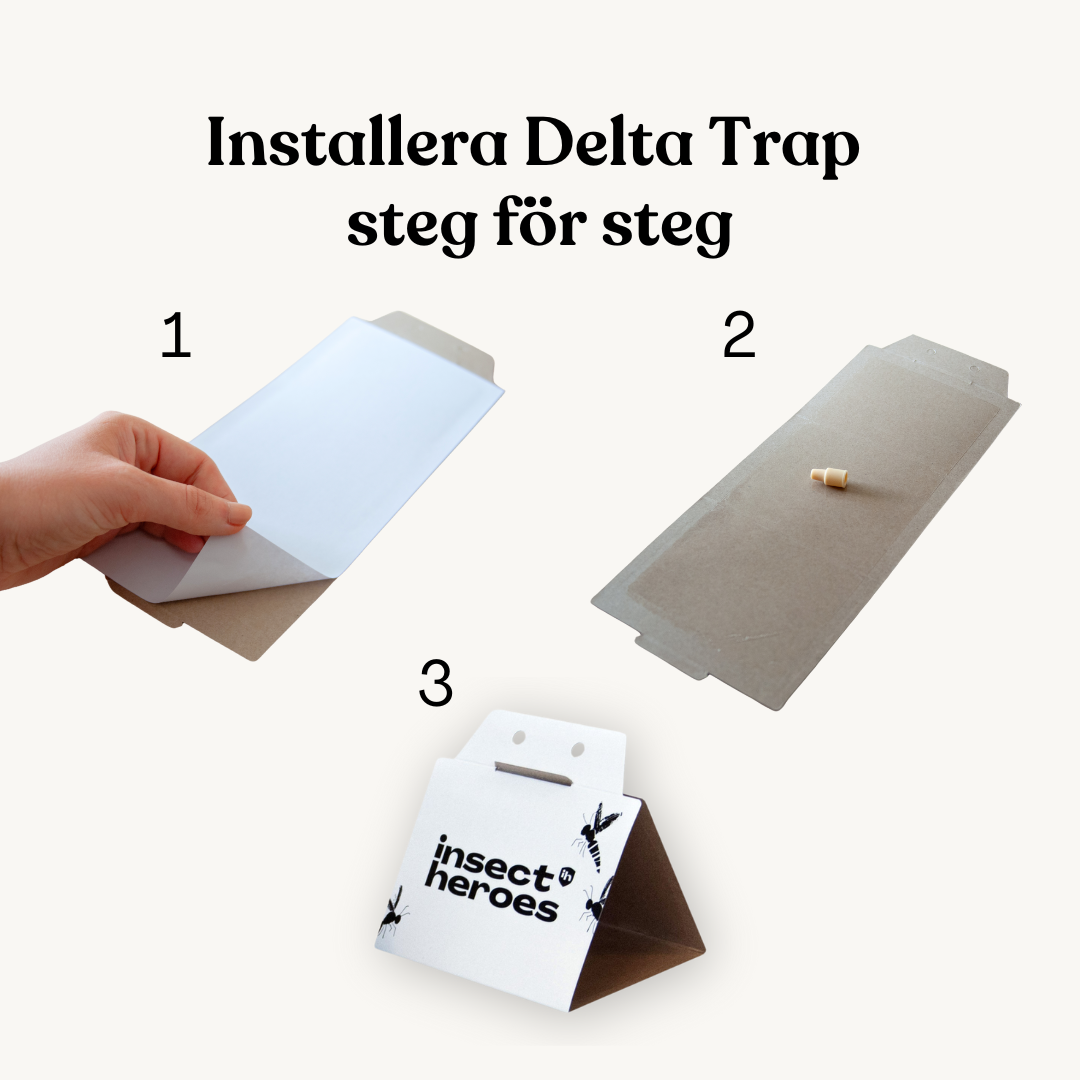Delta Trap och lockämne – mot matmal