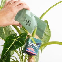 Combi Deal – mot spinnkvalster