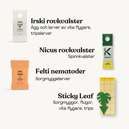 Protect Jungle Deal – förebygg skadedjur